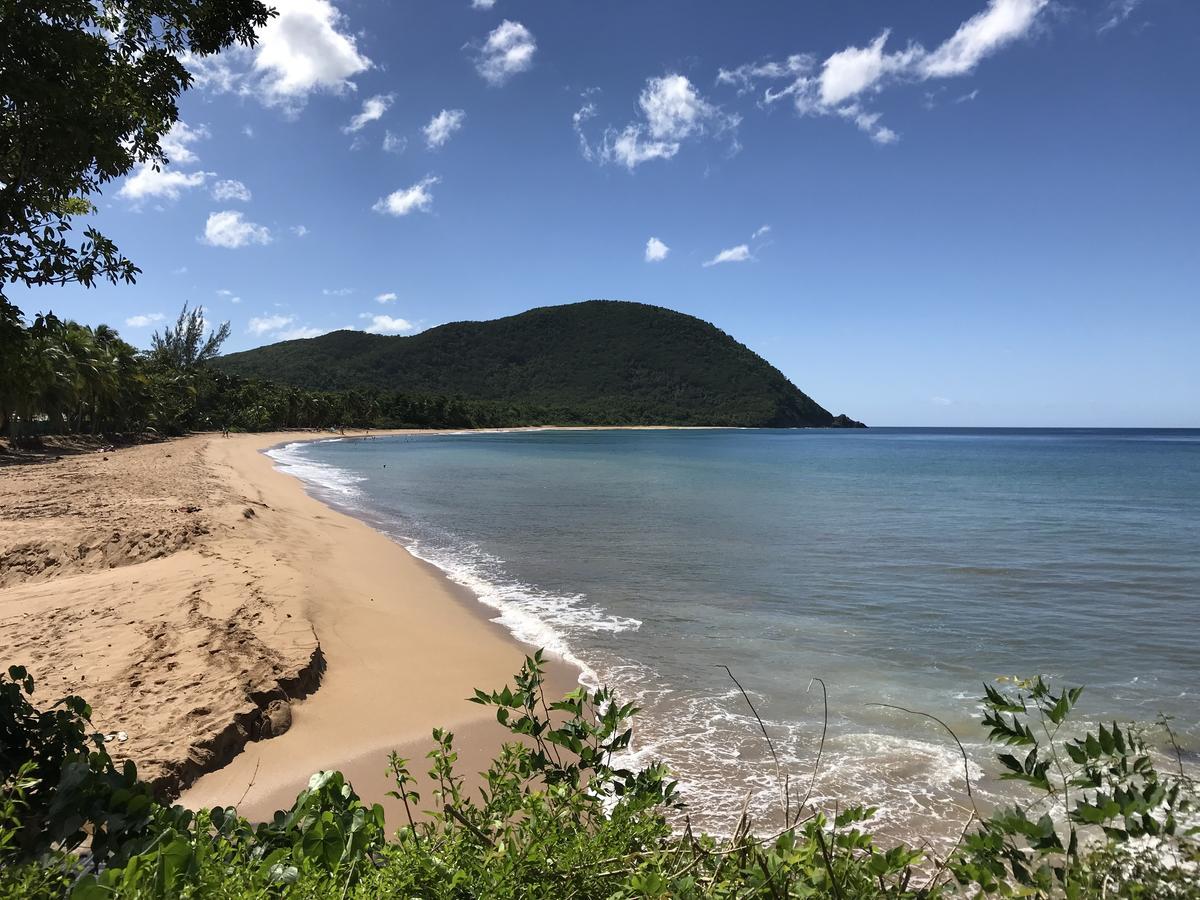 Appart Coeur De Rhum Apartment Pointe-a-Pitre  Bagian luar foto