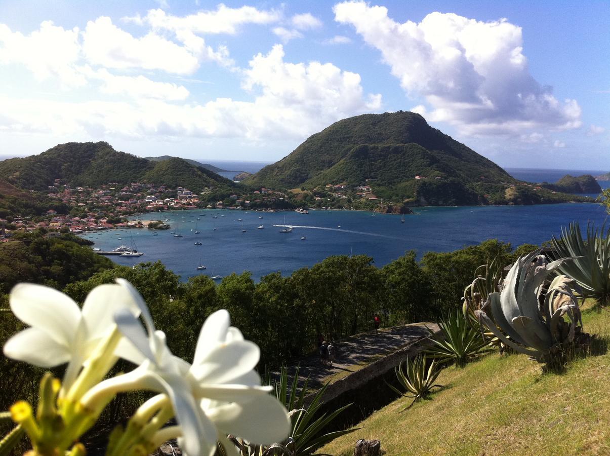 Appart Coeur De Rhum Apartment Pointe-a-Pitre  Bagian luar foto
